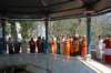dsc_0381_small.jpg