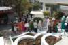 dsc_0389_small.jpg