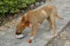 dsc_0408_small.jpg