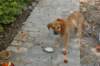 dsc_0409_small.jpg
